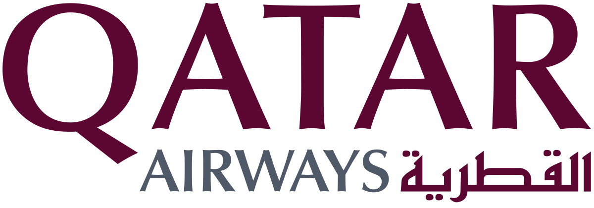 Airline logo 6